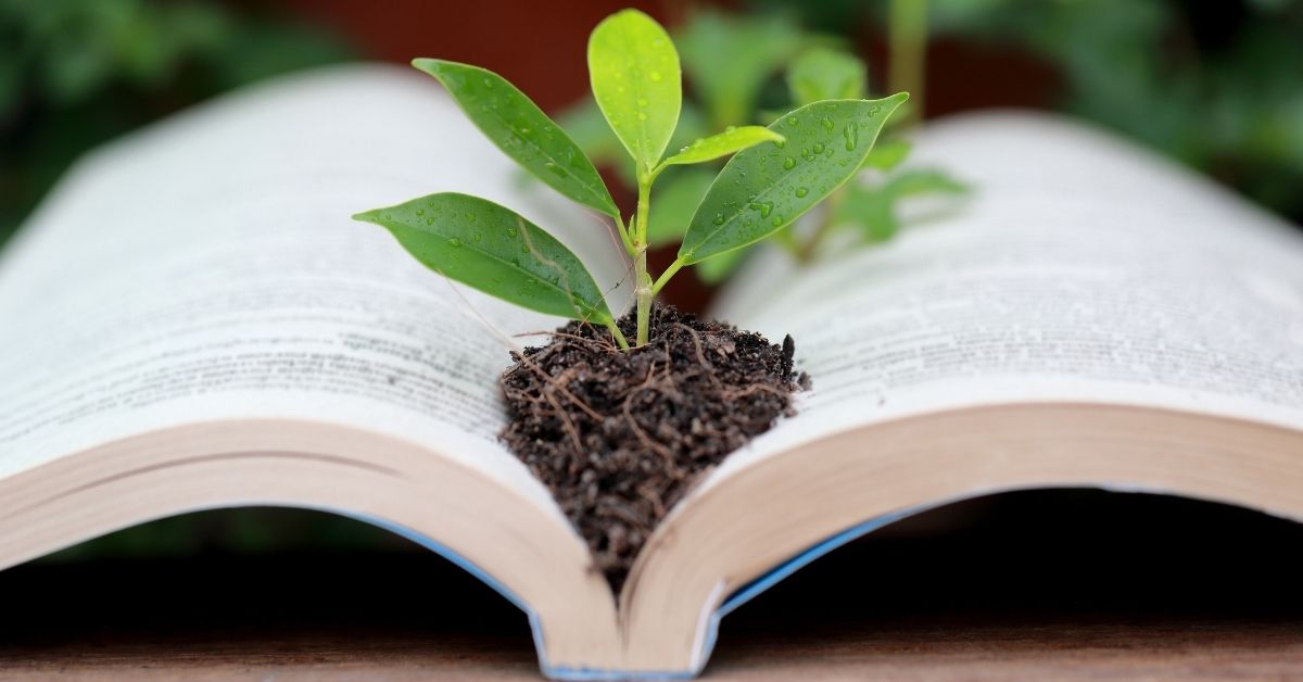 4 Ways To Improve Sustainability in the Classroom