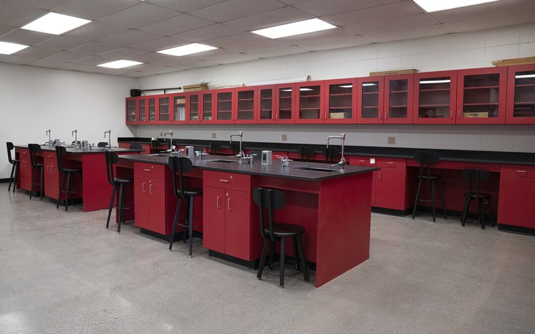 Featured Post (Blog New)